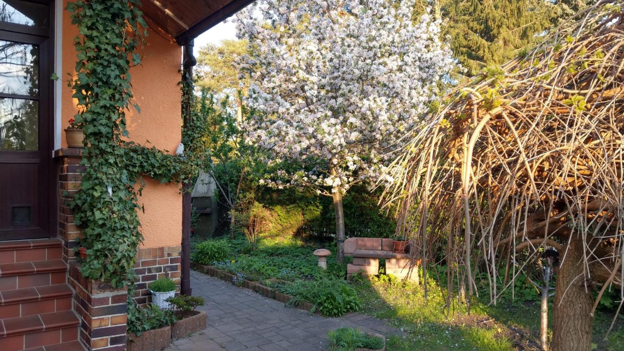 Ferienwohnung Luise, Gemuetlich, Freundlich Und Ganz Nah An Berlin 奥拉宁堡 外观 照片